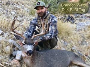 Brandon-Ward-D14-PLM-Tag