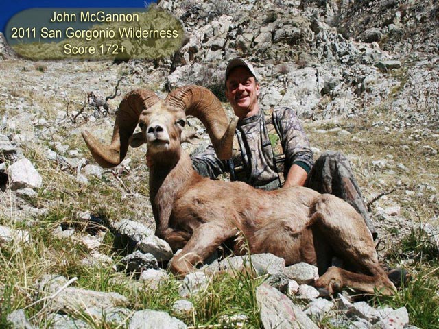 john-mcgannon-sheep-2011.jpg