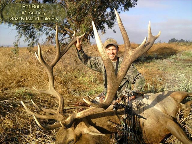 pat-butler-elk-2010.jpg