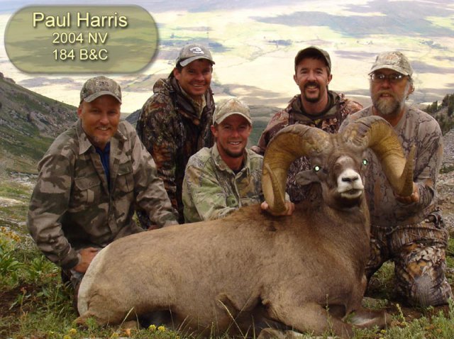 2004 Paul Harris 184BC