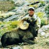 60_weissgraham05