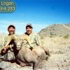66_dennislogan