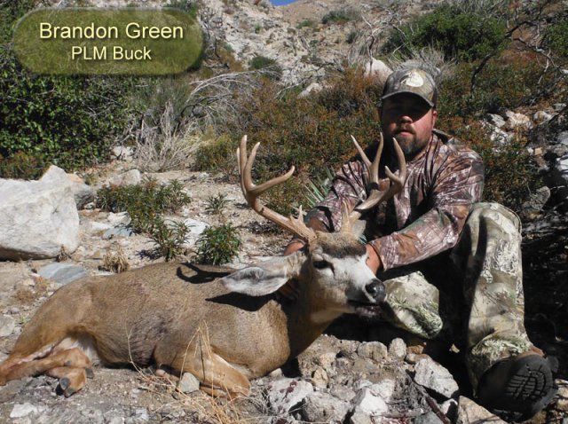 Brandon Green PLM Buck