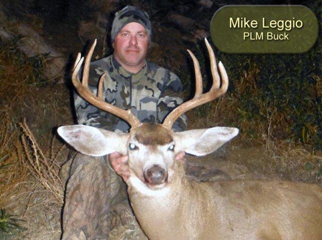 Mike Leggio PLM Buck