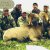 San Gorgonio � 2004-2007