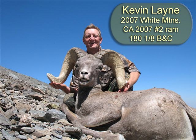 Kevin Layne White Mountain