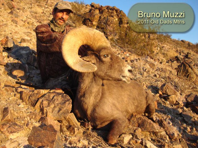 2011 Bruno Muzzi