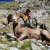 San Gorgonio - San Gorgonio 2010-2011