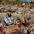 San Gorgonio - San Gorgonio 2011-2012
