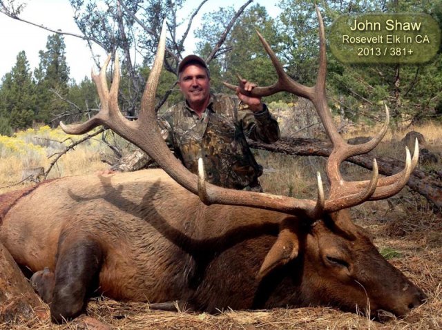 2013 John Shaw Rosevelt Elk 381+