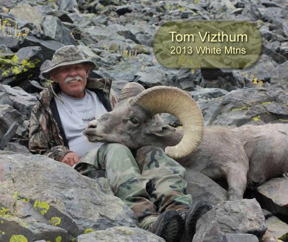 2013 Tom Vizthum White Mtns