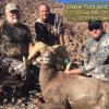 Dave York & Sons Cady Mtn 2017 173+ B&C Ram