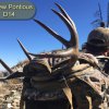 San Gorgonio » San Gorgonio 2018-2019