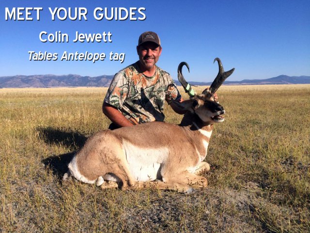 Colin Jewett - Tables Antelope tag