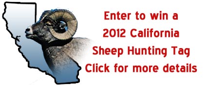2012 California Online Sheep Raffle
