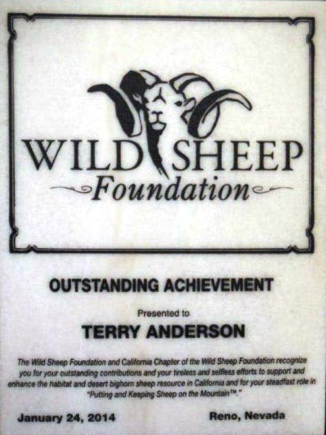 Terry-Wild-Sheep-Award